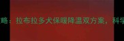 冬季饲养全攻略拉布拉多犬保暖降温双方案科学控温保健康