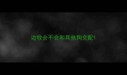 边牧会不会和其他狗交配