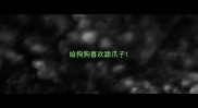 给狗狗喜欢舔爪子
