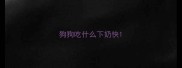 狗狗吃什么下奶快