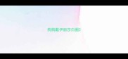狗狗戴伊丽莎白圈