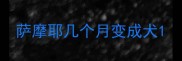 萨摩耶几个月变成犬