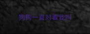 狗狗一直对着我叫