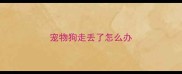 宠物狗走丢了怎么办