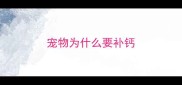 宠物为什么要补钙