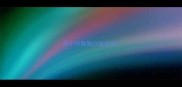 两个月狗狗训练拉尿