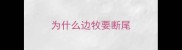为什么边牧要断尾