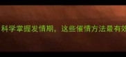 母犬催情时间表科学掌握发情期这些催情方法最有效附护理指南