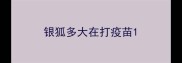 银狐多大在打疫苗