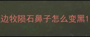 边牧陨石鼻子怎么变黑
