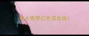 哈士奇梦幻色双血统