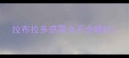 拉布拉多感冒会不会呕吐