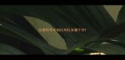 边境牧羊犬和拉布拉多哪个好