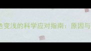 边牧换毛期毛色变浅的科学应对指南原因与专业护理方案