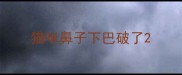 猫咪鼻子下巴破了