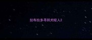 拉布拉多寻回犬咬人