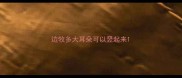 边牧多大耳朵可以竖起来