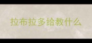 拉布拉多给教什么