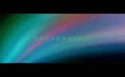 拉布拉多和泰迪的杂交