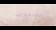 猫咪吐毛球不吃饭