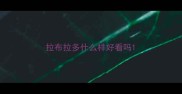 拉布拉多什么样好看吗