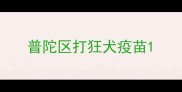 普陀区打狂犬疫苗