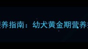 1-2月龄小狗科学喂养指南幼犬黄金期营养搭配与常见问题全
