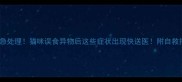 紧急处理猫咪误食异物后这些症状出现快送医附自救指南