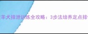 边境牧羊犬排泄训练全攻略3步法培养定点排便习惯