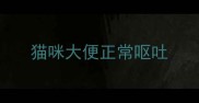 猫咪大便正常呕吐