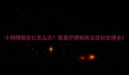 小狗眼睛发红怎么办家庭护理指南及症状处理全