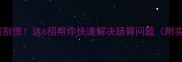 猫咪频繁腹泻别慌这6招帮你快速解决肠胃问题附实用护理指南