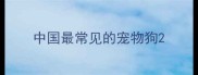 中国最常见的宠物狗