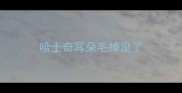 哈士奇耳朵毛掉没了