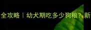 2个月哈士奇喂养全攻略幼犬期吃多少狗粮新手必看喂养指南