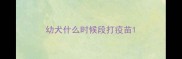 幼犬什么时候段打疫苗