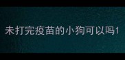 未打完疫苗的小狗可以吗