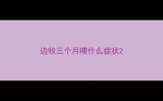 边牧三个月喂什么症状