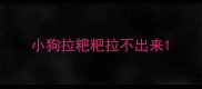 小狗拉粑粑拉不出来