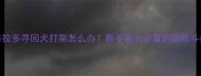 拉布拉多寻回犬打架怎么办新手家长必看的防咬斗指南
