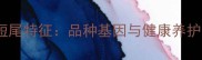 泰迪犬短尾特征品种基因与健康养护全指南