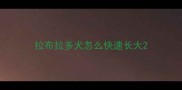 拉布拉多犬怎么快速长大