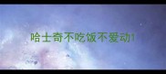 哈士奇不吃饭不爱动