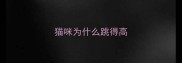 猫咪为什么跳得高