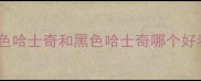 红色哈士奇和黑色哈士奇哪个好看