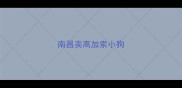 南昌卖高加索小狗