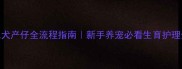 金毛犬产仔全流程指南新手养宠必看生育护理全攻略