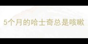 5个月的哈士奇总是咳嗽