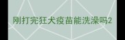 刚打完狂犬疫苗能洗澡吗