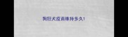 狗狂犬疫苗维持多久